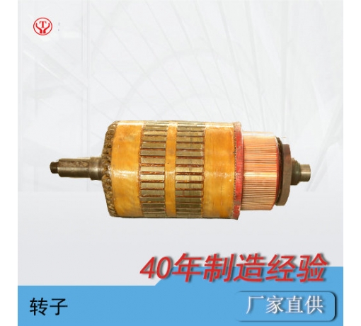 陜西ZQB-15直流牽引電機(jī)電樞