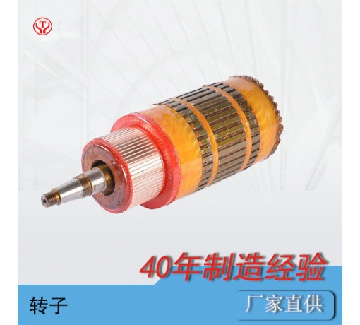 陜西ZQ-1.9輔助直流牽引電機(jī)電樞（250V，550V）